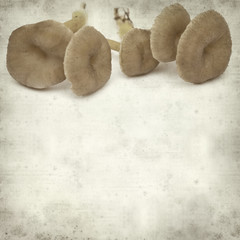 textured old paper background