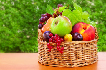 Fresh fruit basket  in the summer garden. 