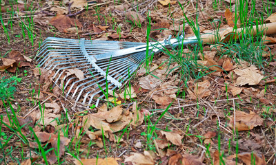 metal rake