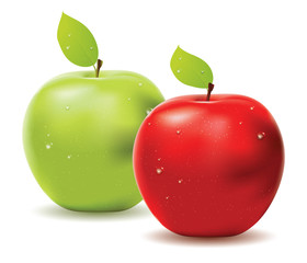 Green apple and red apple