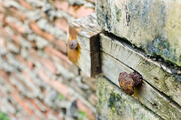 Closeup old rusty and damage nut