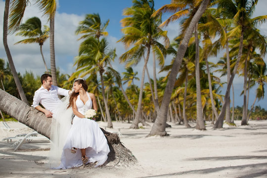 bride and groom sitting on a palm tree on a tropical beach