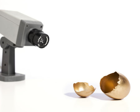 Golden Egg Security