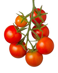 Cherry Tomatoes