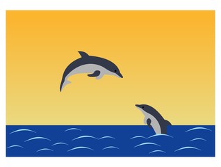 Dolphins