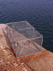 trappola per pesci 1 - obrazy, fototapety, plakaty