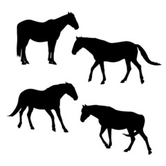 horses silhouettes set 4