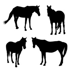 horses silhouettes set 1