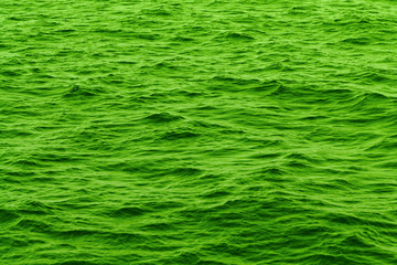 green abstract background of wavy water