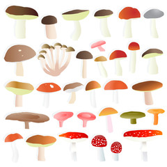Mushrooms collection set vector background