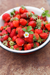 Strawberries in the dish