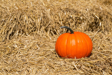 pumpkin on hay