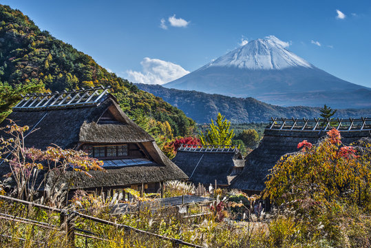 Mt Fuji and Iyashinosato Village