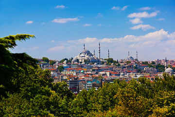 Fototapeta na wymiar Istanbul Turkey view