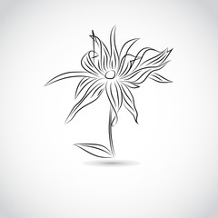 a hand-painted black flower on a white background vector
