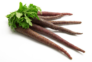 carote nere in fondo bianco