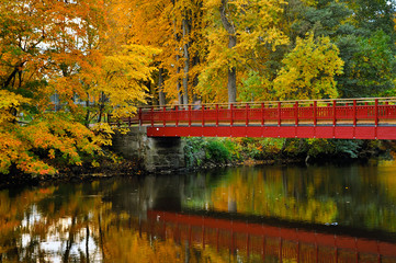 Fall in Gävle