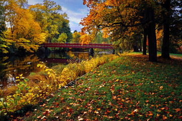 Fall in Gävle