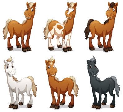 Cartoon Horse Images – Browse 184,181 Stock Photos, Vectors, and Video |  Adobe Stock