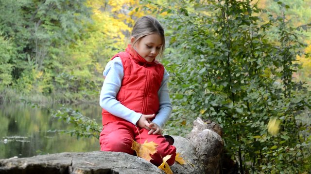 little girl catches a yellow leaves