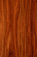 Naklejka premium Realistic wood texture background. eps10 vector illustration
