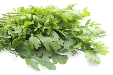 Bunch of fresh and natural parsley isolated on white background