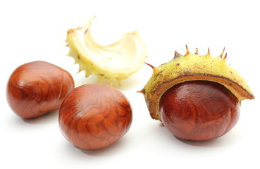 Chestnut with crust on a white background