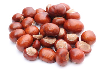Closeup of chestnut on white background