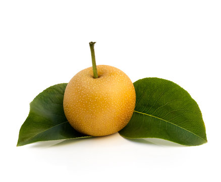 Nashi Pear