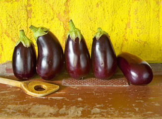 eggplants, fresh from the garden