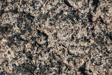 Background with the image of stone