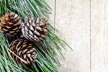 christmas fir tree with pinecones