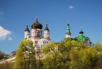 Fototapeta na wymiar The Panteleymonovsky cathedral in Feofaniya