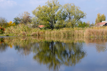 Fototapeta na wymiar autumn pond