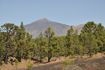 Fototapeta na wymiar Und Pico Viejo Pico del Teide, Teneryfa