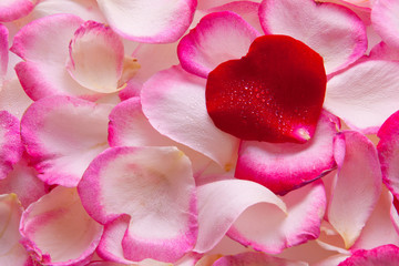 Fototapeta premium Valentine rose petals heart. 