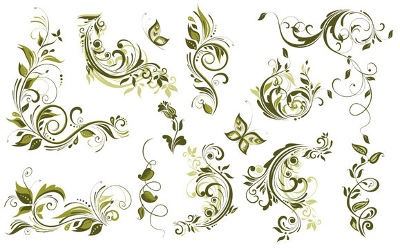 Vintage olive design elements