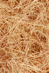 Dry grass as a background