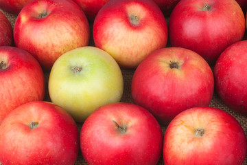 green apple among red apples lying on sackcloth