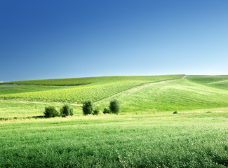 hills in sunny day Tuscany, Italy