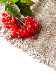 Red berries of viburnum on sackcloth napkin, isolated on white
