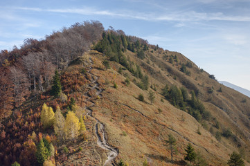 Fototapeta na wymiar Mountain in fall colors