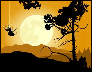Spider knitting web on the moonlight. Halloween background