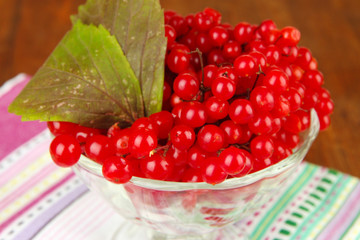 Red berries of viburnum in glass vase