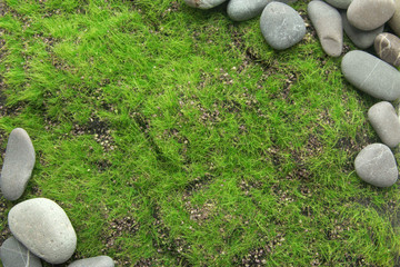 Grey stones, on grass background