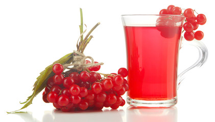 Red berries of viburnum and cup of tea isolated on white