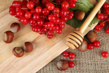 Red berries of viburnum with nuts on sackcloth background