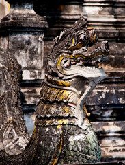 lion statue in thai temple