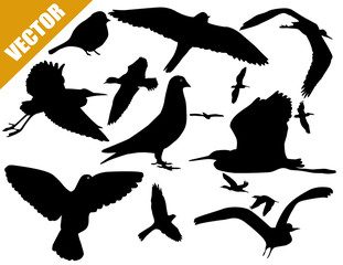 Set of silhouettes of birds
