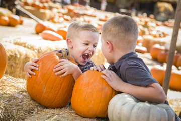 Fototapeta premium Laughing Boys at a Pumpkin Patch Talking and Having Fun.